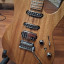 Ibanez tom quayle