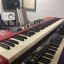 Nord electro 5D 73