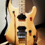 Opiniones... es un acierto o un te has equivocado de cargado la guitarra