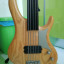 ULTIMAS 48 HORAS Bajo Washburn Bantam RB-2500F (5 Cuerdas Fretless,Corea)