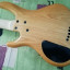 ULTIMAS 48 HORAS Bajo Washburn Bantam RB-2500F (5 Cuerdas Fretless,Corea)