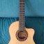 Guitarra Raimundo 660E cutaway