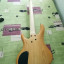 ULTIMAS 48 HORAS Bajo Washburn Bantam RB-2500F (5 Cuerdas Fretless,Corea)