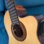 Guitarra Raimundo 660E cutaway