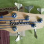 ULTIMAS 48 HORAS Bajo Washburn Bantam RB-2500F (5 Cuerdas Fretless,Corea)