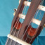 Guitarra Raimundo 660E cutaway