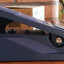 Pedal Doble de Expresión BOSS EV-30 Para Pedales de Guitarra, Pedalera de Emulación, Teclados, etc