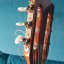 Guitarra Raimundo 660E cutaway