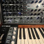 ARTURIA MATRIXBRUTE