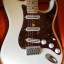 Fender Stratocaster Billy Corgan OW