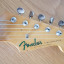 Fender Stratocaster JV (1983)