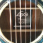 Guitarra LAG THV20 DCE Hyvibe - CAMBIOS