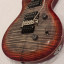 PRS SE Floyd Custom 24,