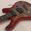 PRS SE Floyd Custom 24,