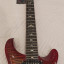 PRS SE Floyd Custom 24,