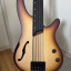 Bajo Ibanez srh 505 fretless