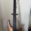 Bajo Ibanez srh 505 fretless