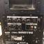 Pareja de Roland CM-30 Cube  monitor