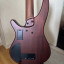 Bajo Ibanez srh 505 fretless