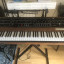 Sequential Prophet 5 Rev 4 Nuevo