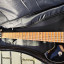 EVH Wolfgang Standard QM BM BKF
