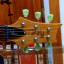 PRS SE 594 Signature Zack Mayers