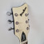 Eastwood Airline Map DLX con Bigsby,  perfecto estado y funda original