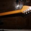 Framus Junior Deluxe (Estilo Fender Jaguar)