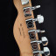 Fender telecaster standard