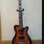 FRAMUS PANTHERA STUDIO CUSTOM