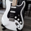Fender Stratocaster Player Series.