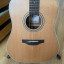 Takamine GD20 NS