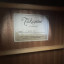 Takamine GD20 NS