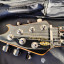 EVH Wolfgang Standard QM BM BKF