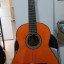 Guitarra flamenca Raimundo 145