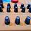 Waldorf Microwave XT 30 Voces
