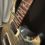 PRS Paul's Guitar Signature - 2013