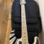 Evh striper