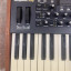 Dave Smith Mopho x 4