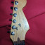 Cambio Fender Stratocaster solo por otra Strat USA mastil de arce
