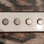 Dimarzio Evolution Neck y Bridge + DP110