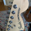 Fender DELUXE Strat PF2TSB