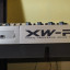 Teclado Casio XW-P1