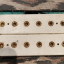 Dimarzio Evolution Neck y Bridge + DP110