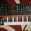 behringer poly D