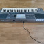 Teclado profesional Korg Pa900 + 🎁