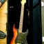 FEnder Stratocaster Steve Ray Vaughan