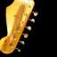 FEnder Stratocaster Steve Ray Vaughan