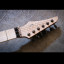 Skervesen raptor 6