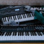 Novation Impulse 49